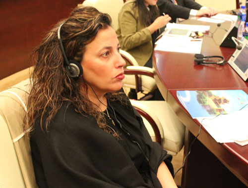 41-ICIS13- roundtable- Carmen.JPG 41-ICIS13- roundtable- Carmen.JPG